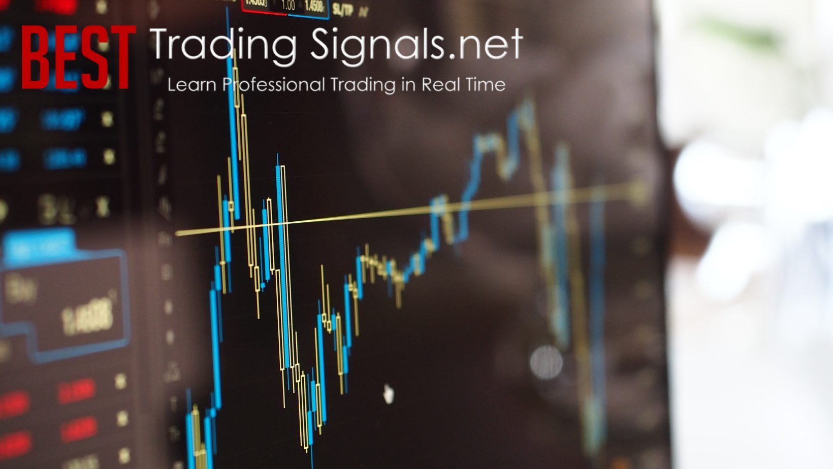 Option trading signal service